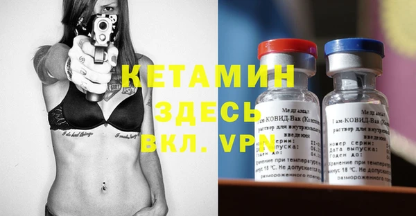 дмт Богданович