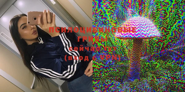 дмт Богданович
