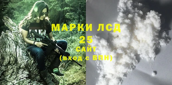 гашик Богородск