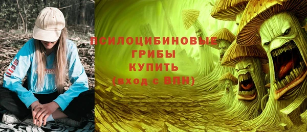 дмт Богданович