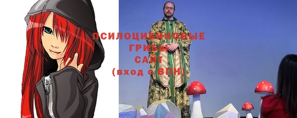 jwh Богородицк