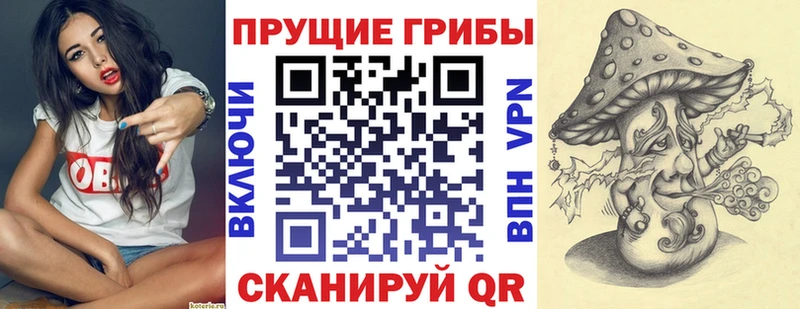 Псилоцибиновые грибы Psilocybe  Купить где  Мосальск 